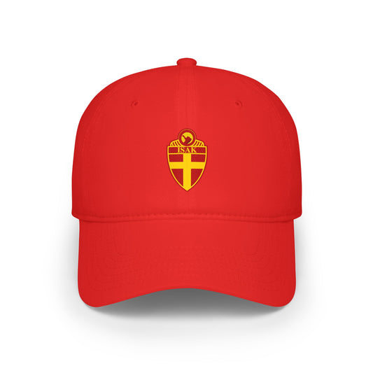 Trendy Low Profile Baseball Cap with Custom Design, Casual Hat, Sports Cap, Gift for Him/Her, Unisex Headwear